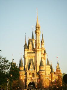 マーメイド計画始動 来年夏の劇場公開にむけて本邦初 人魚ムービーの製作に挑む Campfire キャンプファイヤー マーメイド計画始動 来年夏の劇場公開にむけて本邦初 人魚ムービーの製作に挑む Campfire キャンプファイヤー