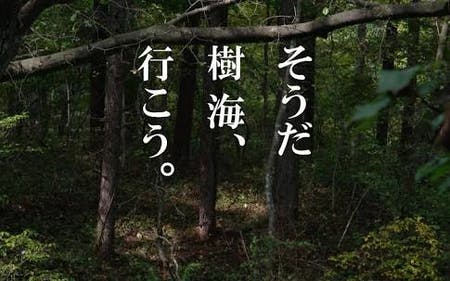 守崎二花「すれ違い僕と君の通信」のMVを作りたい - CAMPFIRE 