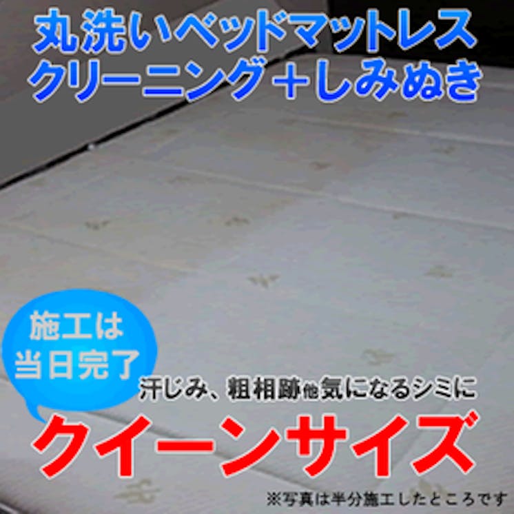 洗えないベッドマットレスを本当に洗う技術 応援プロジェクト Campfire キャンプファイヤー