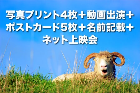 リターン画像