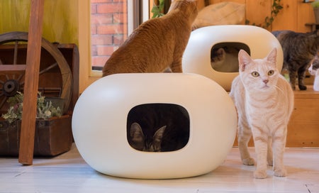 かまくら型おしゃれな猫ハウスをつくりたい - CAMPFIRE (キャンプ