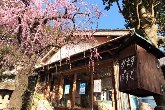 1番目のメイン画像