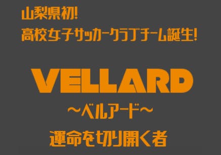 山梨県内初の高校女子サッカーチームのユニフォームをデザインし作成するプロジェクト Campfire キャンプファイヤー