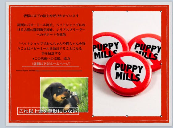 パピーミール規制犬猫展示販売廃止を求めるリーフレット PDF ポストカード作成