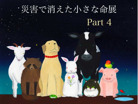 588b8b4d 2660 4f4b a33d 56770abc16a2.png?ixlib=rails 2.1