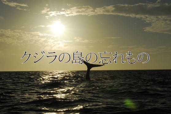 沖縄・ベトナムが舞台のラブストーリー映画「クジラの島の忘れもの」 - CAMPFIRE (キャンプファイヤー)