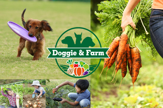 家族と愛犬の休日 貸し農園とドッグランの Doggie Farm東金 開業 Campfire キャンプファイヤー
