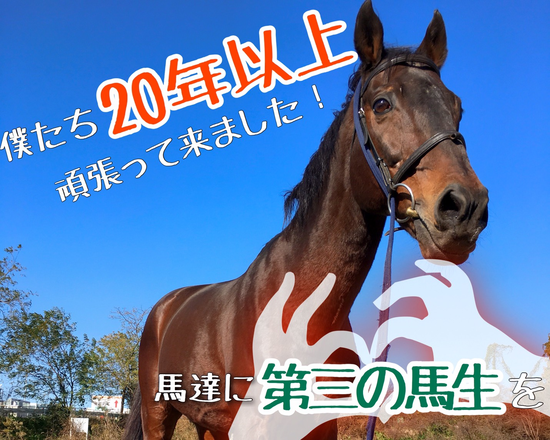 殺処分の運命からレスキュー 銀河 と サブレ に第三の馬生 余生 を Campfire キャンプファイヤー