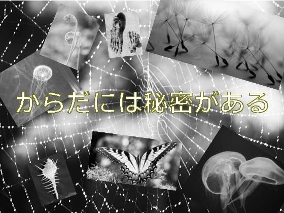 骨格から『そもそもの人間』と『もともとのからだ』を解明する研究