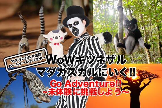 マダガスカルのキツネザル アート作品
