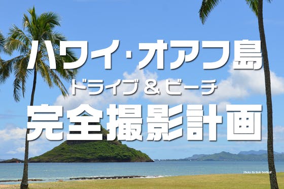 持続可能な環境保護支援と社会貢献 ハワイ オアフ島ドライブ ビーチ完全撮影計画 Campfire キャンプファイヤー