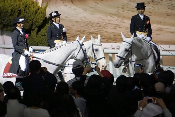 園田競馬場の日本最高齢誘導馬だった『マコーリー』のDVD写真集を作り