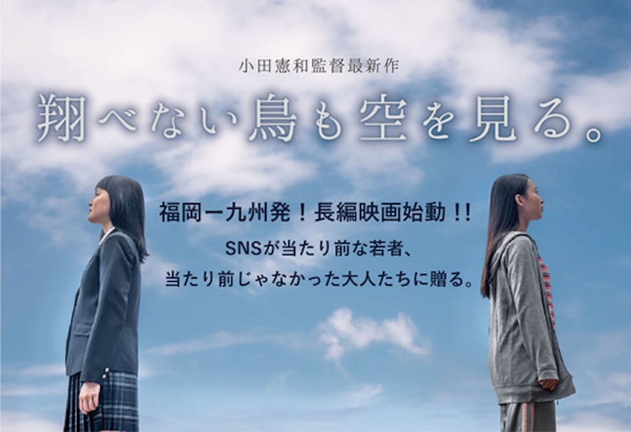 翔べない鳥も空を見る DVD - 日本映画