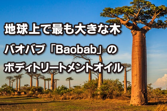 今まで実現できなかった初配合、アフリカ原産のバオバブ×アルガンの超