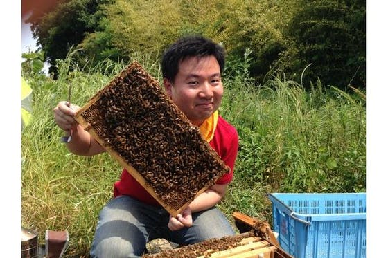 三島養蜂場ファンクラブ会員募集中！純国産100%の天然蜂蜜をお得にお届け！