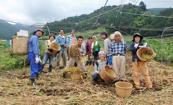 鳥よけの網掛け 古民家リノベ宿でbbq交流 をしました 8月4日 Campfire キャンプファイヤー