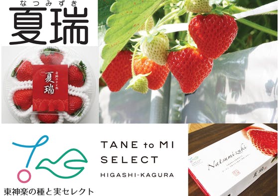 この夏、最高のイチゴをたくさんの人に味わってもらいたーい！【北海道