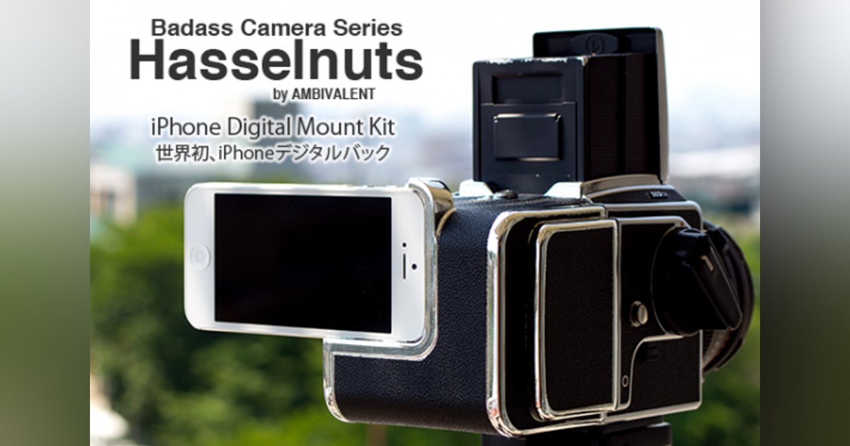 Hasselnuts ハッセルナッツ 簡易デジタルパック Hasselnuts ハッセルナッツ 簡易デジタルパック