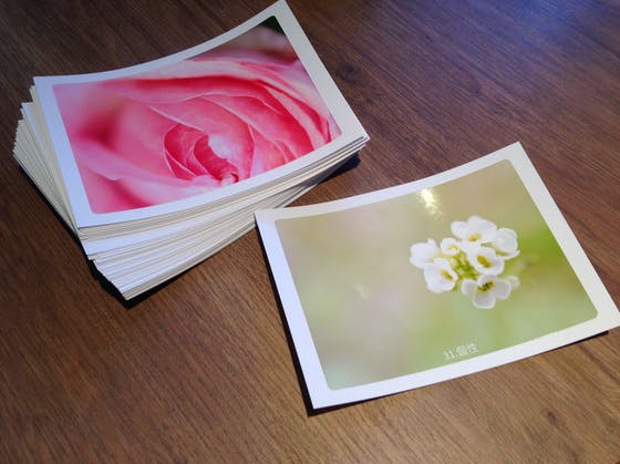 お写真で世界平和 花カードで世界を平和にする Campfire キャンプファイヤー