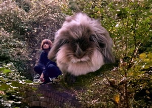 プロフィール画像