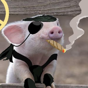 プロフィール画像