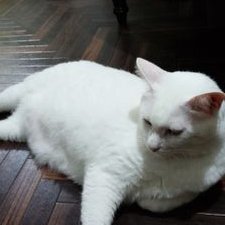 中野様 CFボンド