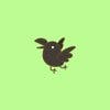 Koe_Karasu