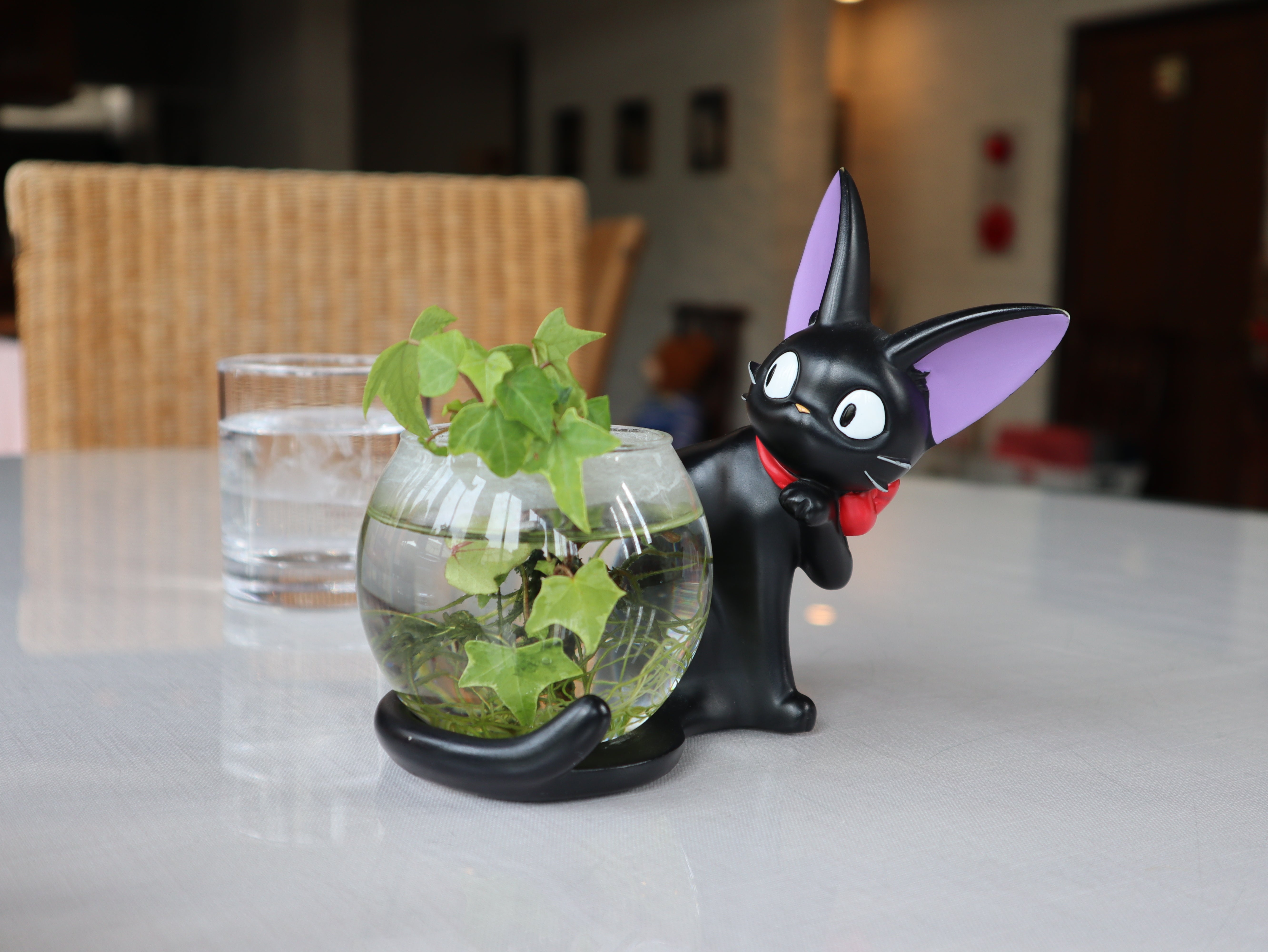 smalldogcafe（smalldogcafe）のプロフィール - CAMPFIRE (キャンプ