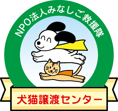 捨てられた犬猫たちの保護施設を完成させたい Campfire キャンプファイヤー