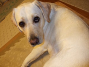samanのプロフィール画像