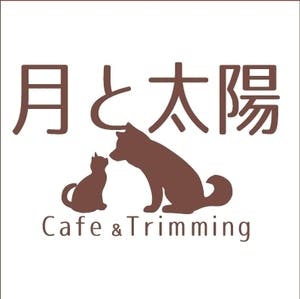 旧 ペットンカフェ コロナに負けたくない 犬猫カフェ 月と太陽 存続の危機 Campfire キャンプファイヤー