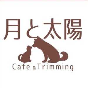 旧 ペットンカフェ コロナに負けたくない 犬猫カフェ 月と太陽 存続の危機 Campfire キャンプファイヤー 旧 ペットンカフェ コロナに負けたくない 犬猫カフェ 月と太陽 存続の危機 Campfire キャンプファイヤー