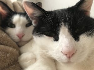 プロフィール画像
