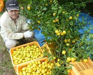 プロフィール画像