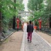 miniature_community
