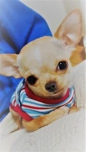 プロフィール画像