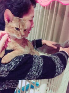 プロフィール画像