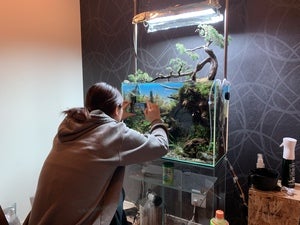 じいちゃんちの畑を「水草畑」に変えて、A5サイズの水草マットを作り じいちゃんちの畑を「水草畑」に変えて、A5サイズの水草マットを作り