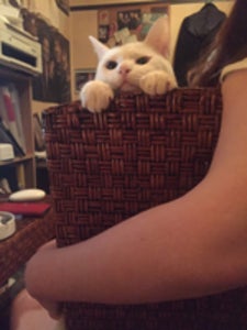 プロフィール画像