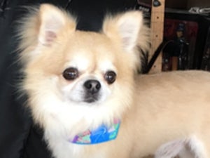 プロフィール画像