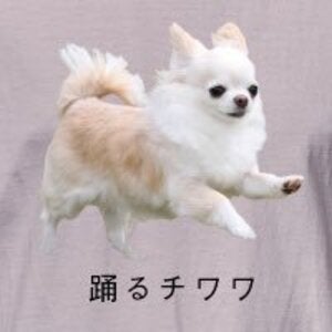 nekowanwanのプロフィール画像