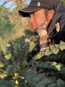 プロフィール画像