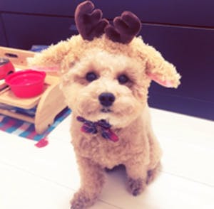 プロフィール画像