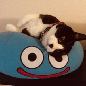 プロフィール画像