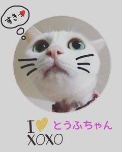 プロフィール画像