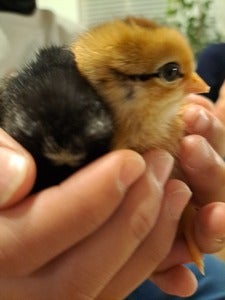 プロフィール画像