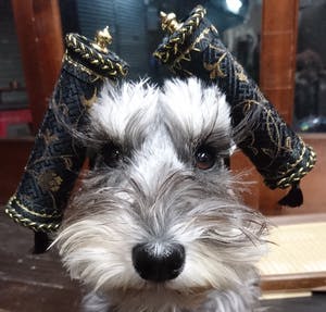 プロフィール画像