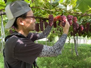 プロフィール画像