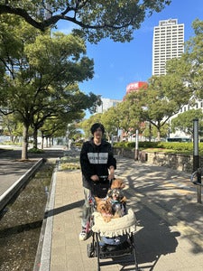 プロフィール画像