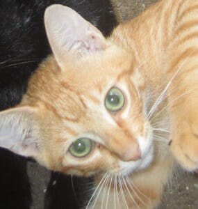 プロフィール画像